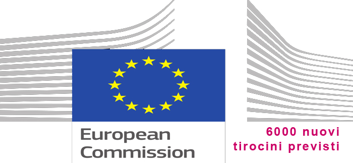 6000 tirocini commissione europea