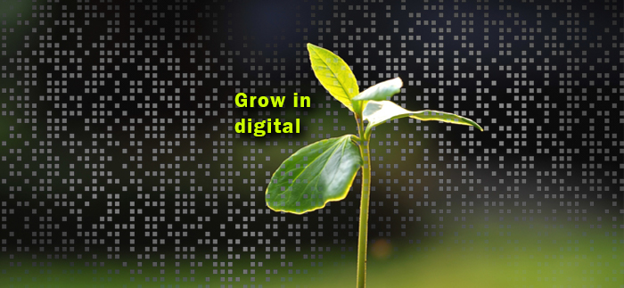 Il progetto Crescere in Digitale – 5.000 nuovi tirocini entro i prossimi tre anni